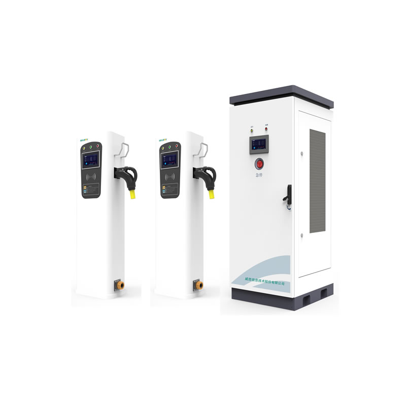 Professional EV DC Charging Station Input / Output Multiple Protection Safe Charging